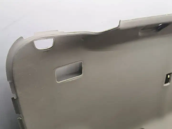 Honda Accord (2008 - 2016) Потолочная обшивка — фото 4