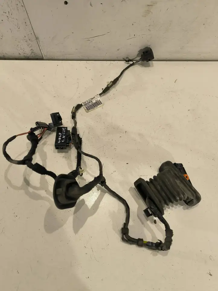 Volkswagen Golf V (2003 - 2009) 1K9971693R Проводка задней двери — фото 1