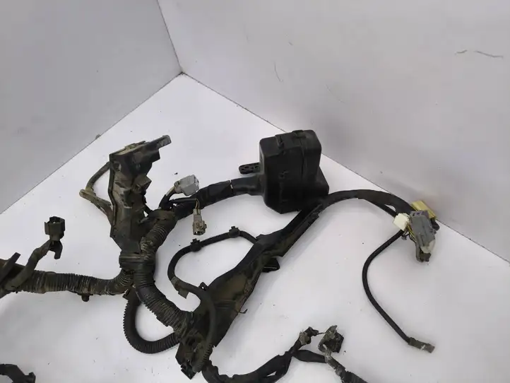 Toyota Corolla Verso AR10 (2004 - 2009) 821210F120 Проводка двигателя — фото 3