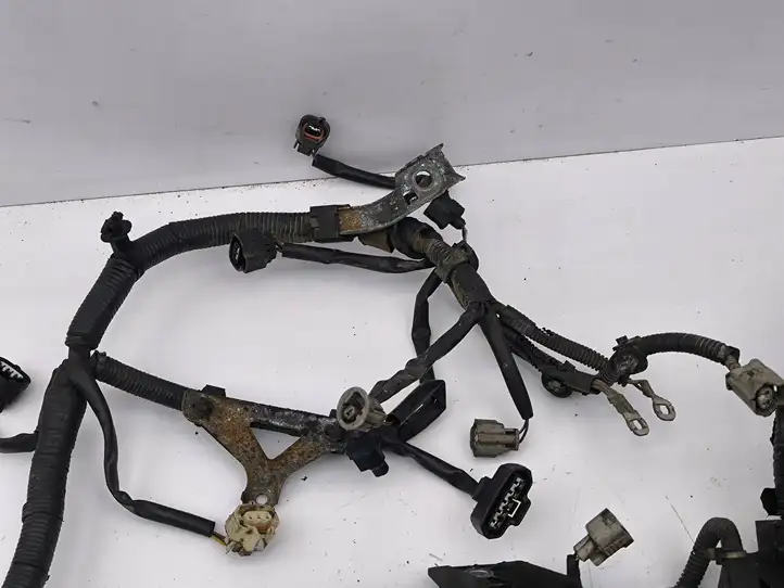 Toyota Corolla Verso AR10 (2004 - 2009) 821210F120 Проводка двигателя — фото 16