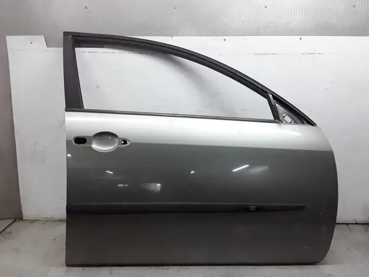 Nissan Primera (2001 - 2008) Дверь — фото 1
