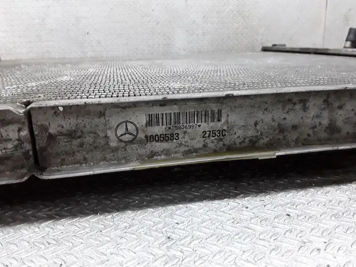 Mercedes-Benz ML W163 (1997 - 2005) 1005583 Радиатор охлаждающей жидкости двигателя — фото 2
