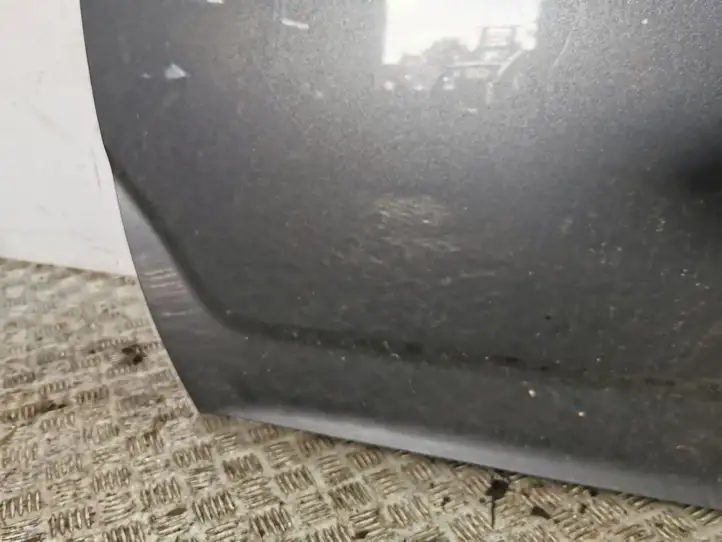 Toyota Corolla Verso AR10 (2004 - 2009) Дверь — фото 4