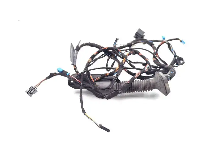 BMW X5 E70 (2006 - 2013) 9116976 Проводка передней двери — фото 1