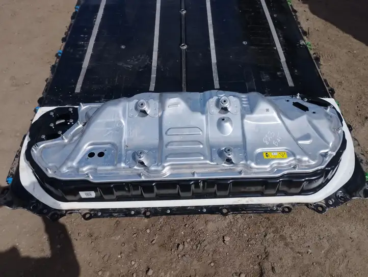 Tesla Model 3 (2017 - 2023) 166696900C Корпус аккумуляторной батареи — фото 9