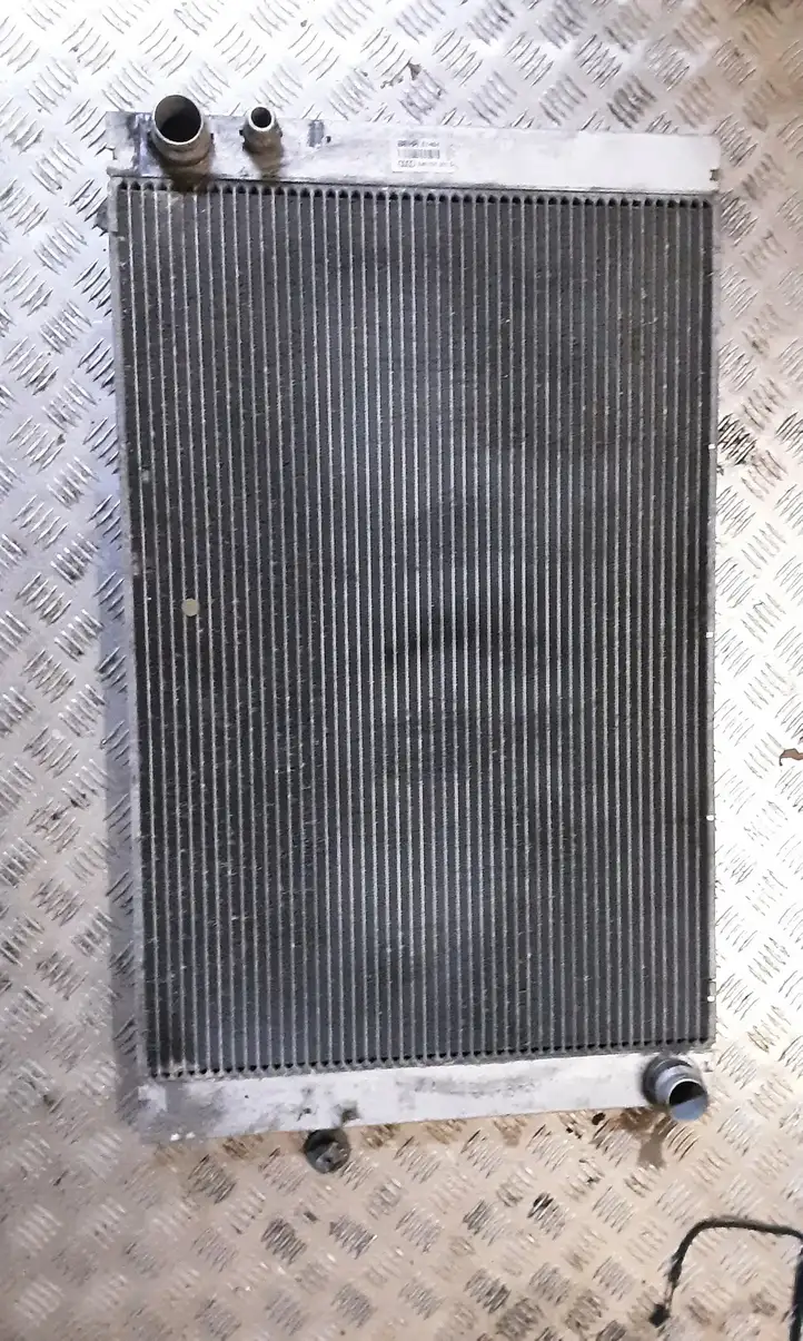 Audi A8 S8 D3 4E (2002 - 2005) E40121251D Радиатор охлаждающей жидкости двигателя — фото 1