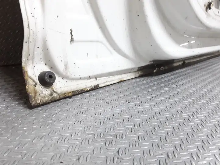 Volkswagen Caddy (2004 - 2010) Дверь — фото 4