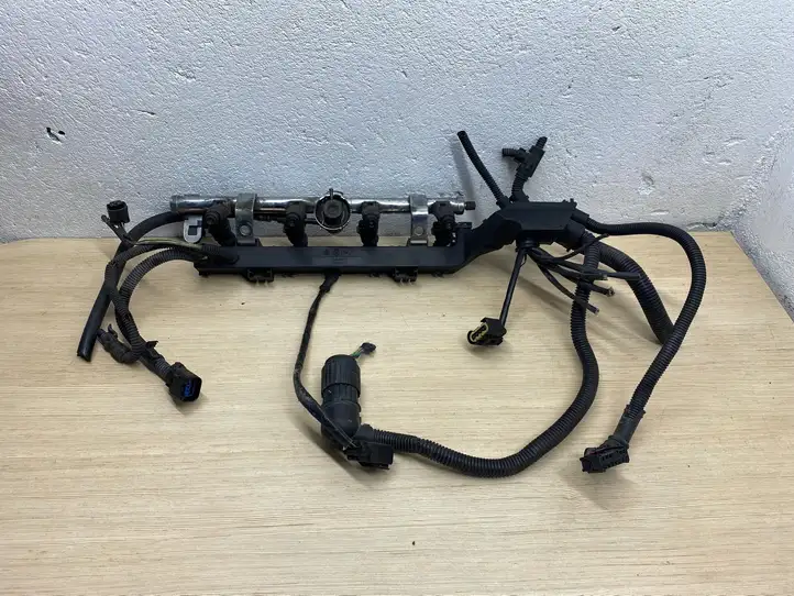 Mini One Cooper R50-53 (2000 - 2012) 0280155991 Комплект жиклеров ГБО — фото 1