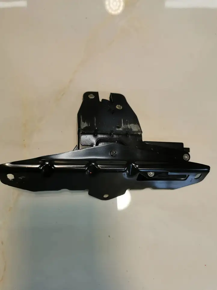 BMW X5 E70 (2006 - 2013) 489050955 Петля замка багажной двери — фото 1