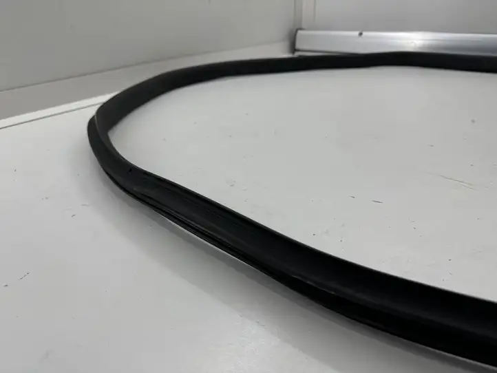 Tesla Model Y (2019 - 2024) 149767591D Уплотнитель кузова — фото 3