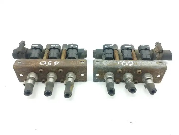 Chrysler Town & Country V (2007 - 2010) SN008703 Жиклер ГБО — фото 16