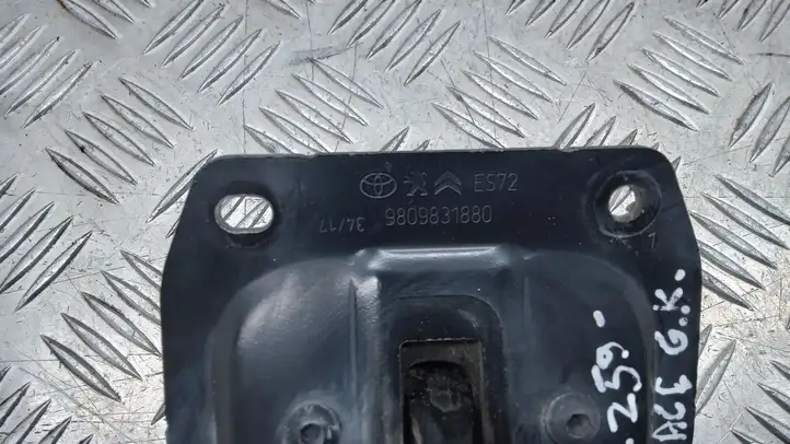 Toyota ProAce City (2016 - ) 9809831880 Ограничитель багажной двери — фото 4