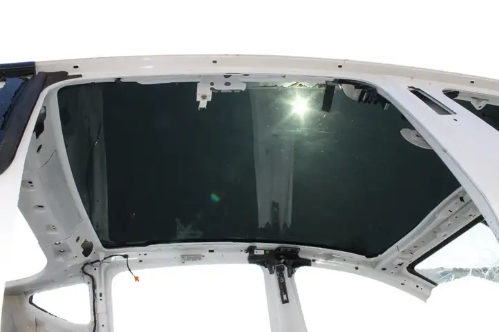 Tesla Model Y (2019 - 2024) Крыша — фото 1