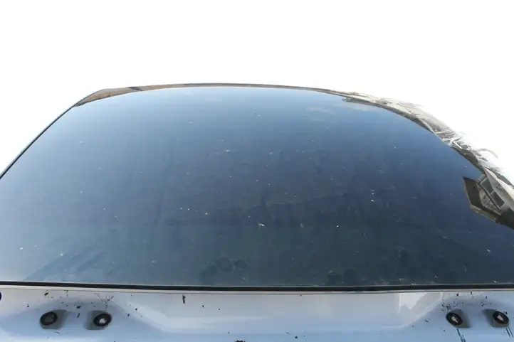 Tesla Model Y (2019 - 2024) Крыша — фото 2