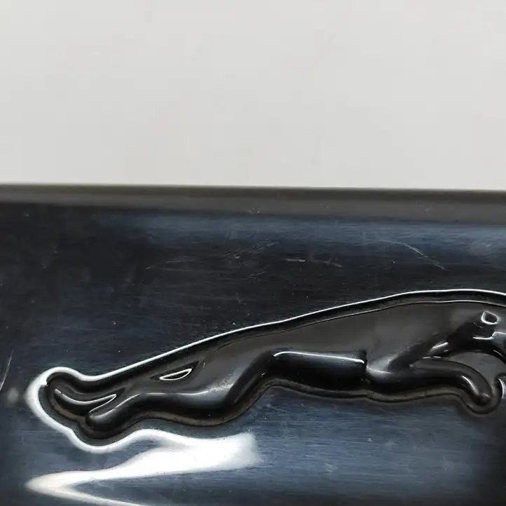 Jaguar F-Pace (2016 - ) MX83280B10A Эмблема модели — фото 5