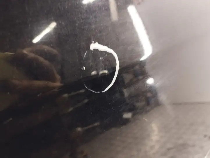 Ford C-MAX II (2010 - 2015) Дверь — фото 8