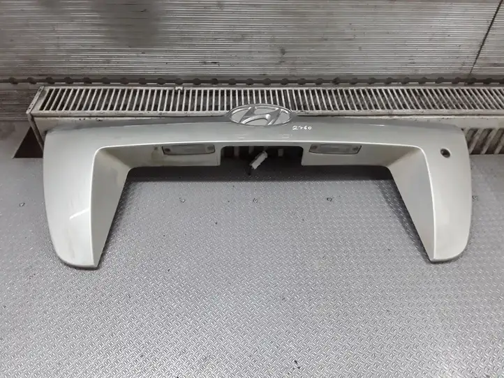 Hyundai Tucson JM (2004 - 2009) 873702E000 Подсветка номера — фото 1