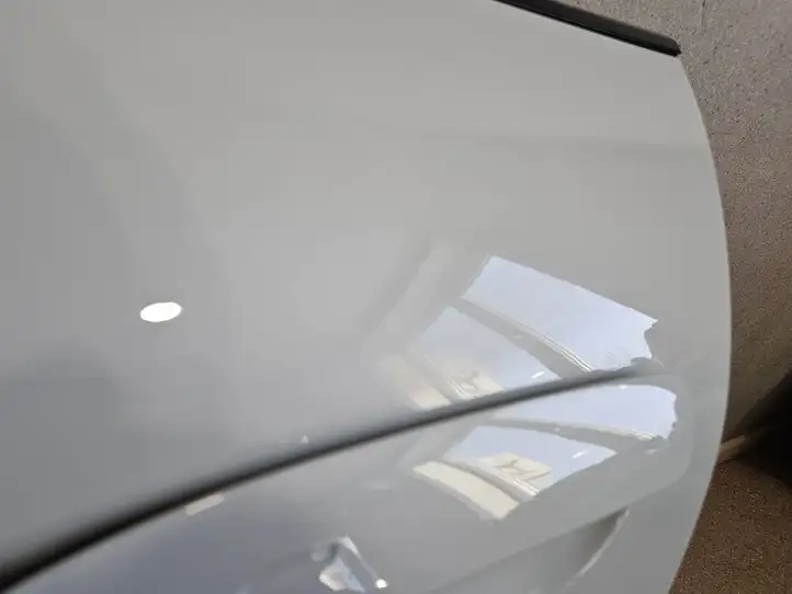 Porsche Taycan 9J1 (2019 - ) Дверь — фото 4