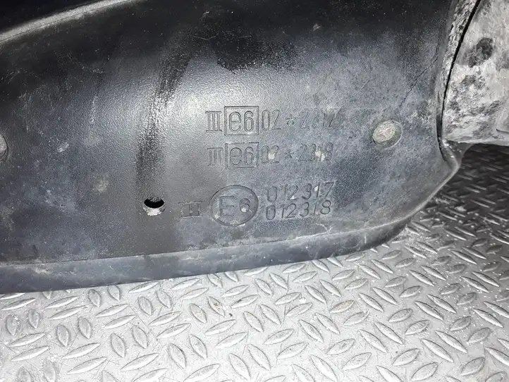 Volkswagen Sharan (2003 - 2010) E6012317 Боковое зеркало с электроприводом — фото 3