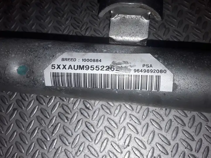 Peugeot 307 CC (2001 - 2005) 9649892080 Боковая подушка безопасности шторка — фото 2