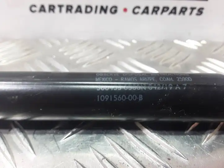 Tesla Model 3 (2017 - 2023) 109156000B Амортизатор крышки багажника — фото 2