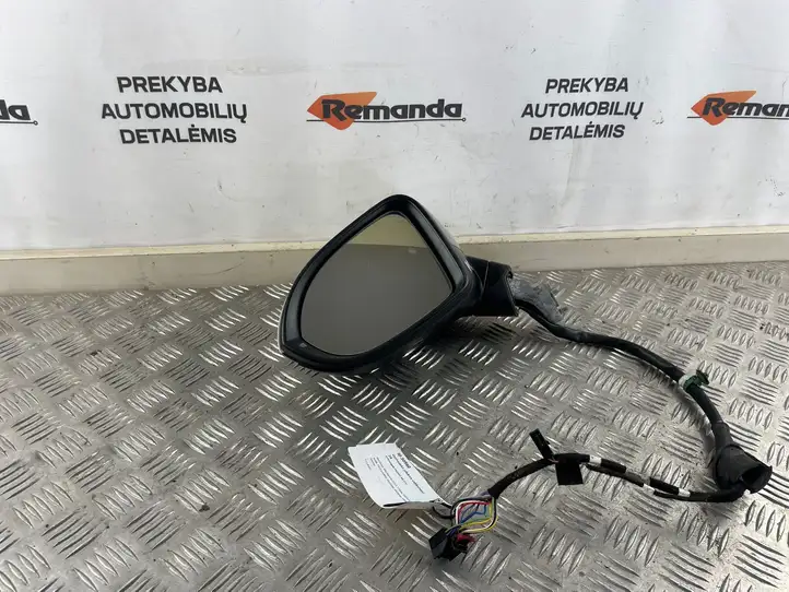 Volkswagen PASSAT B8 (2015 - ) 0414150 Боковое зеркало с электроприводом — фото 1