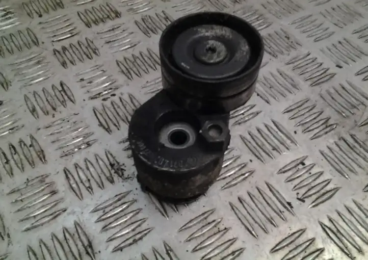 Volvo S40, V40 (2000 - 2004) 071402627000 Натяжитель ремня — фото 3