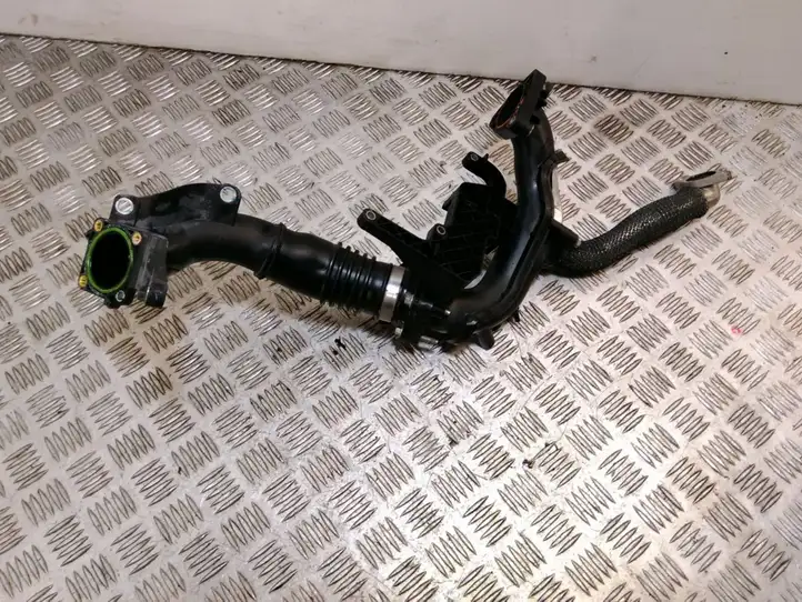 Ford Fiesta (2009 - 2012) 9674942380 Трубка подачи воздуха — фото 2