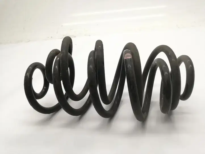 Nissan Juke I F15 (2010 - 2018) Пружина задней подвески — фото 3