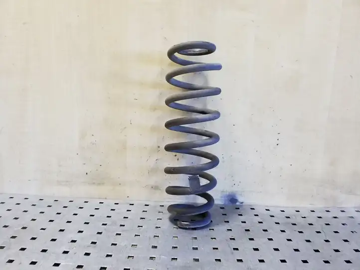 Kia Soul (2019 - ) Пружина задней подвески — фото 1