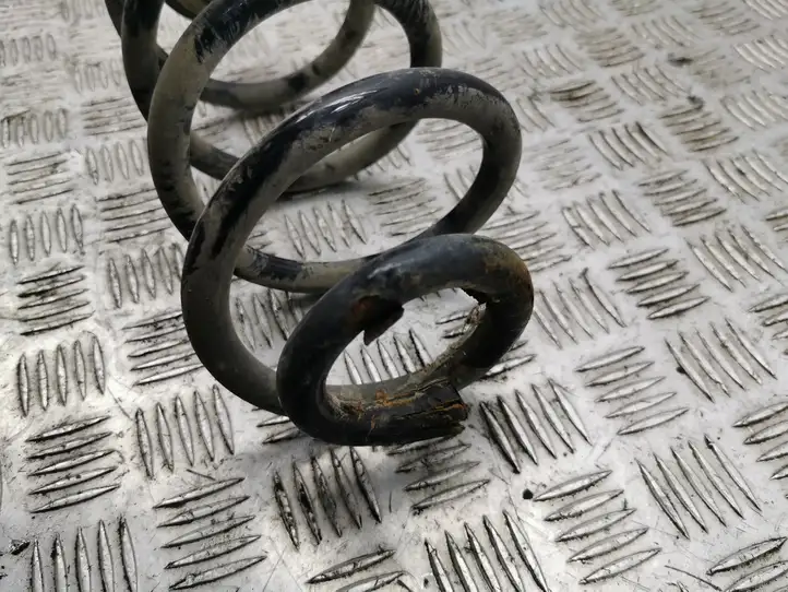 Nissan Qashqai (2006 - 2010)   Пружина