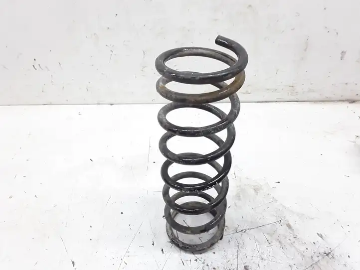 Ford Focus (1998 - 2004)   Пружина
