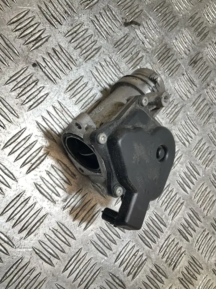 Nissan Juke I F15 (2010 - 2018) 161A09794R Электрозадвижка двигателя — фото 1