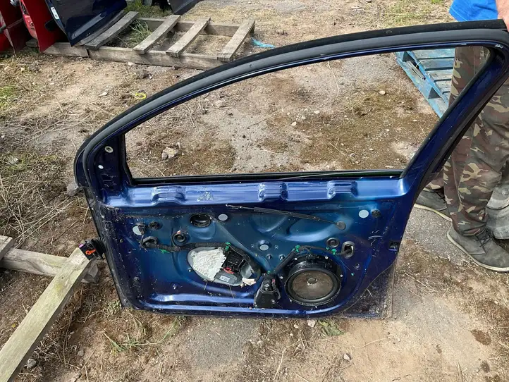 Volkswagen Golf V (2003 - 2009) Дверь — фото 2