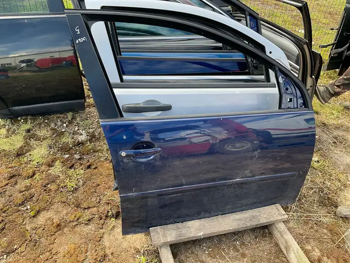 Volkswagen Golf V (2003 - 2009) Дверь — фото 3