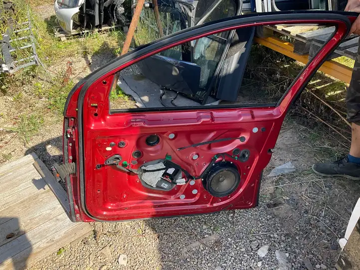 Volkswagen Golf V (2003 - 2009) Дверь — фото 1