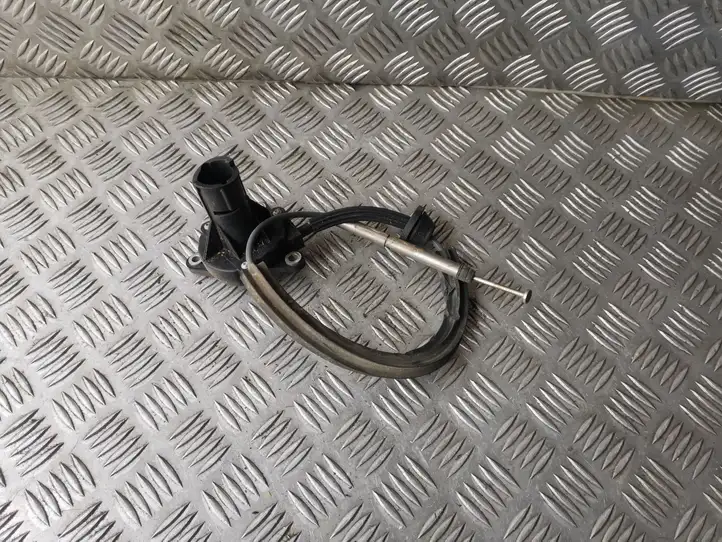 BMW X5 E70 (2006 - 2013) 757730401 Крышка окна аварийного открытия — фото 3