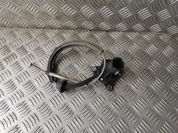 BMW X5 E70 (2006 - 2013) 757730401 Крышка окна аварийного открытия — фото 5