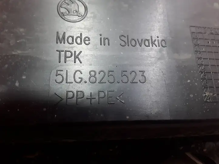 Skoda Enyaq iV (2020 - ) 5LG825523 Защита заднего бампера — фото 3