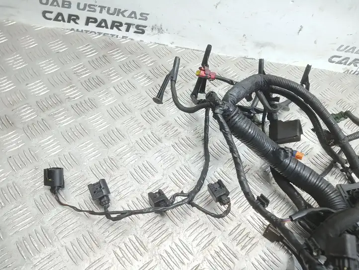 Nissan Qashqai (2010 - 2013) 24011BB04A Проводка двигателя — фото 3