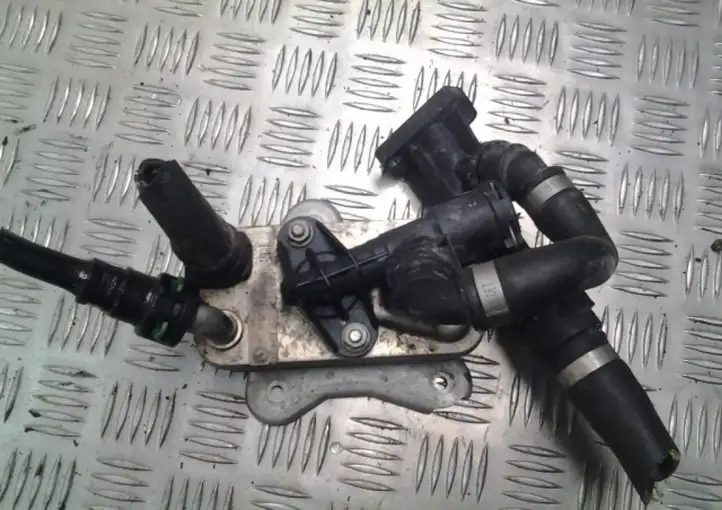 BMW X5 E70 (2006 - 2013) 780040805 Кронштейн масляного фильтра — фото 3