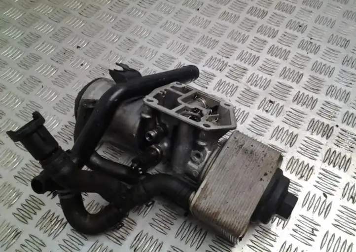 Audi A5 8T 8F (2007 - 2011) 045115389K Кронштейн масляного фильтра — фото 4