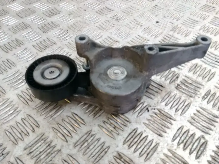 Seat Leon (1P) (2005 - 2012) 03C903315C Натяжитель ремня генератора — фото 1