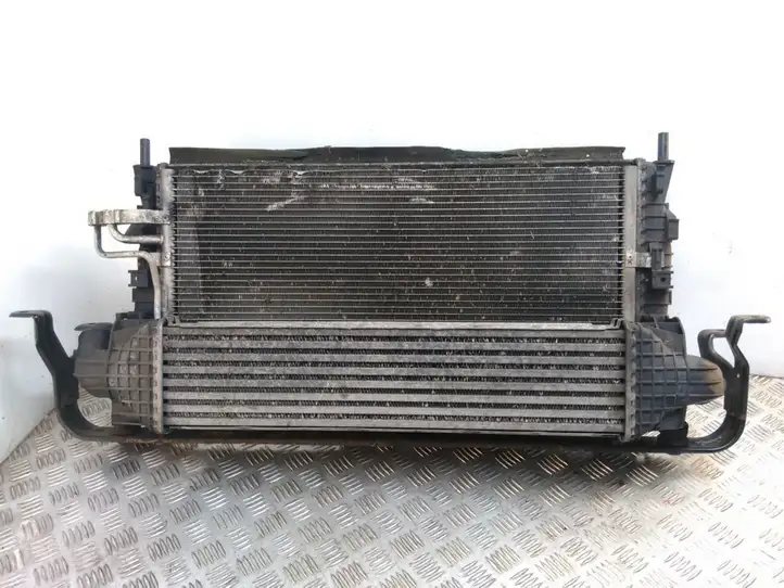 Ford Focus (2005 - 2008) 3M5H8C607RG Радиатор охлаждающей жидкости двигателя — фото 1