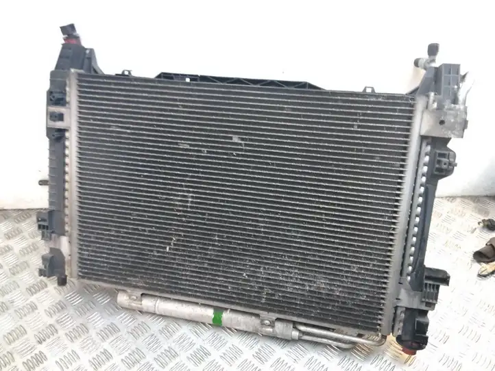 Mercedes-Benz B-class W245 (2008 - 2011) A1695000354 Радиатор охлаждающей жидкости двигателя — фото 2