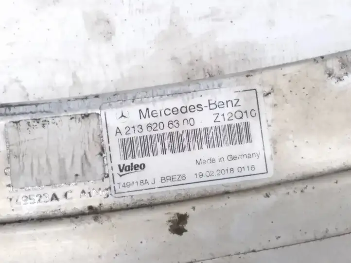 Mercedes-Benz E W238 (2017 - ) A2136206300 Верхняя панель радиатора — фото 4