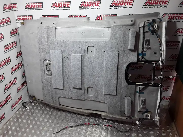 Toyota Prius (XW30) (2009 - 2015) 20090813 Потолочная обшивка — фото 3