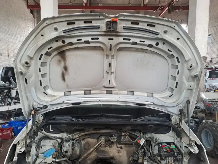 Volkswagen Caddy (2010 - 2015) Nocode Крышка двигателя декоративная — фото 4