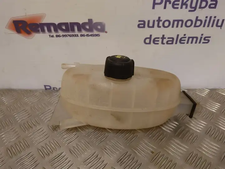 Renault Trafic II (X83) (2002 - 2014) 7700312900 Расширительный бачок — фото 4