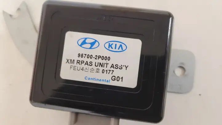 Kia Sorento (2009 - 2014) 957002P000 Реле интервала стеклоочистителей — фото 2